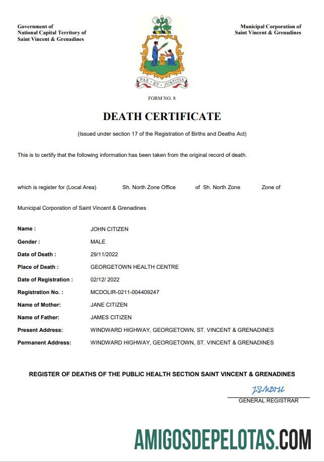 Dapat Diedit Saint Vincent and the Grenadines vital record kematian sertifikat Word and PDF templat