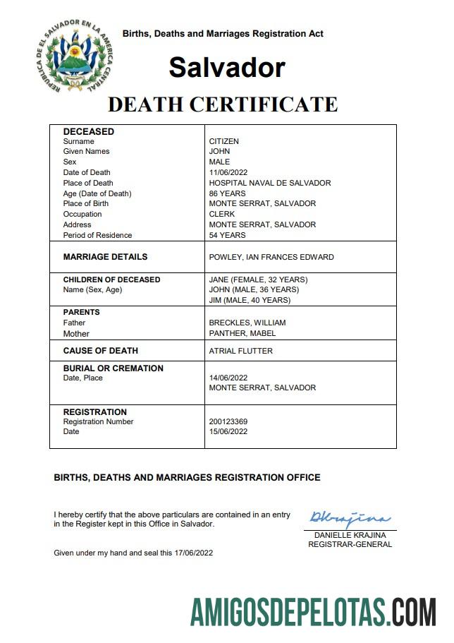 Profesional Salvador vital record kematian sertifikat Word and PDF templat