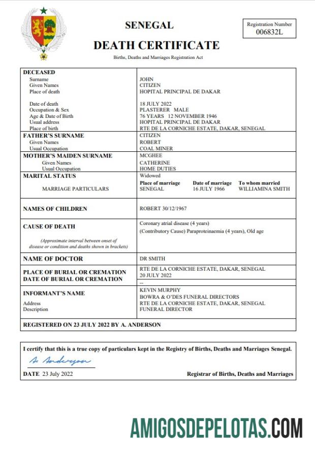 Dapat Diedit Senegal vital record kematian sertifikat Word and PDF templat
