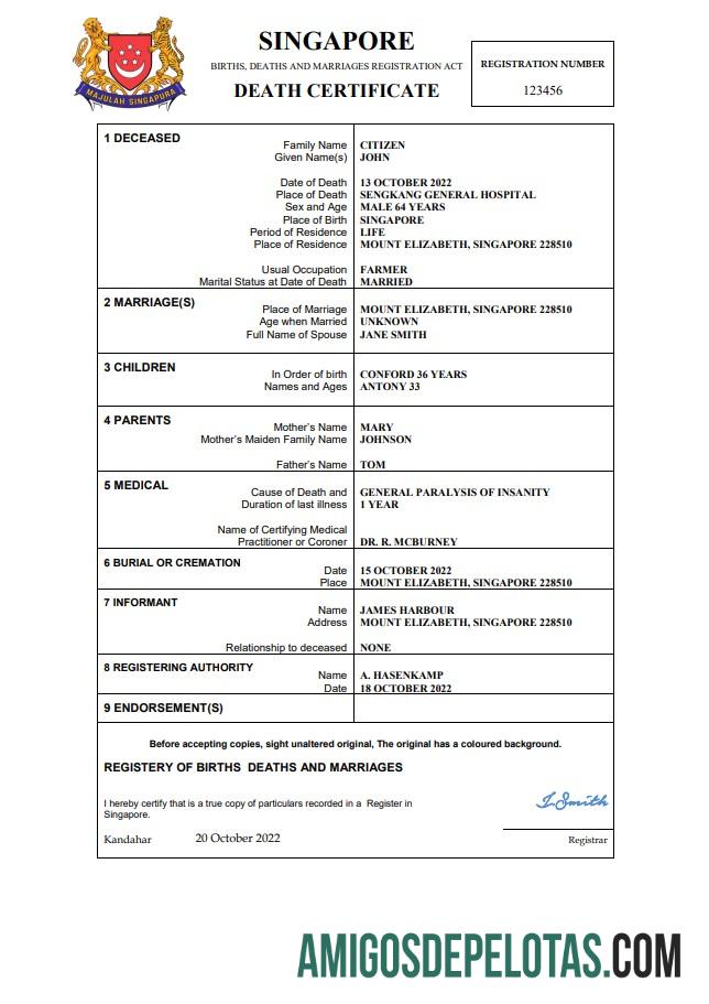 Berkualitas Singapura vital record kematian sertifikat Word and PDF templat
