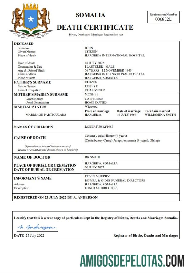 Dapat Diedit Somalia vital record kematian sertifikat Word and PDF templat
