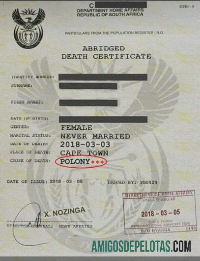 Afrika Selatan Department of home affairs kematian sertifikat desain