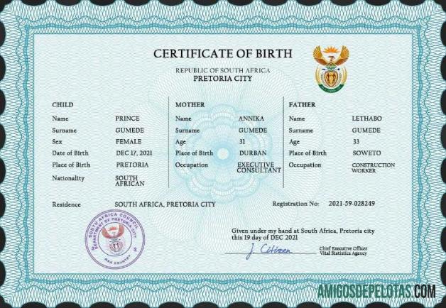 Realistis Afrika Selatan kelahiran sertifikat PSD templat