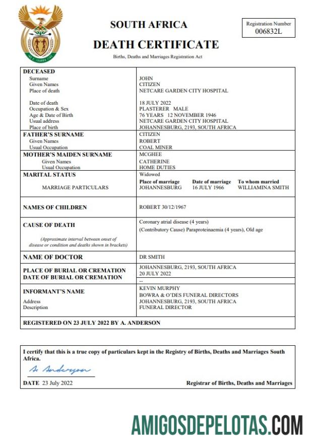 Profesional Afrika Selatan kematian sertifikat Word and PDF templat