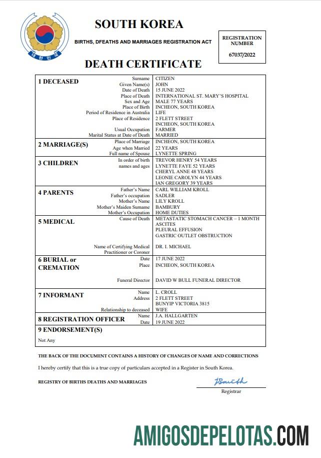Profesional Korea Selatan vital record kematian sertifikat Word and PDF templat