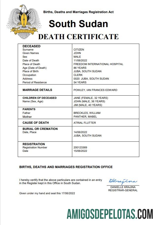 Dapat Diedit Sudan Selatan vital record kematian sertifikat Word and PDF templat