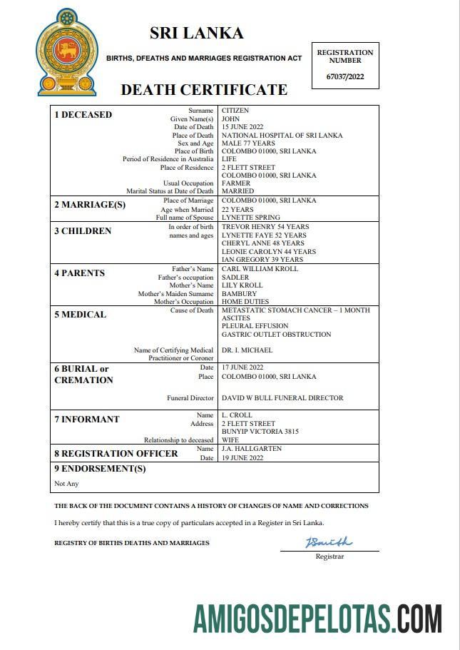 Dapat Diedit Sri Lanka vital record kematian sertifikat Word and PDF templat
