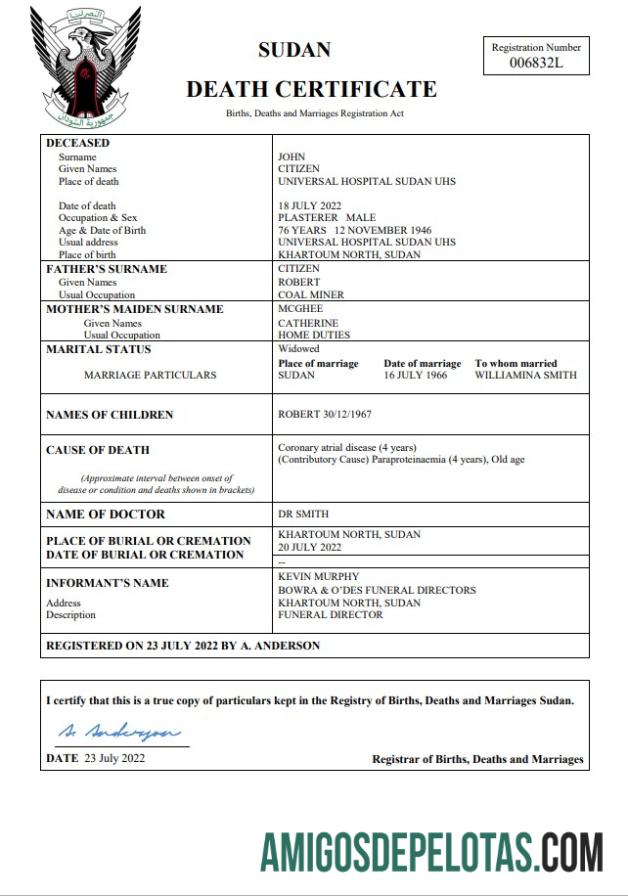 Realistis Sudan vital record kematian sertifikat Word and PDF templat