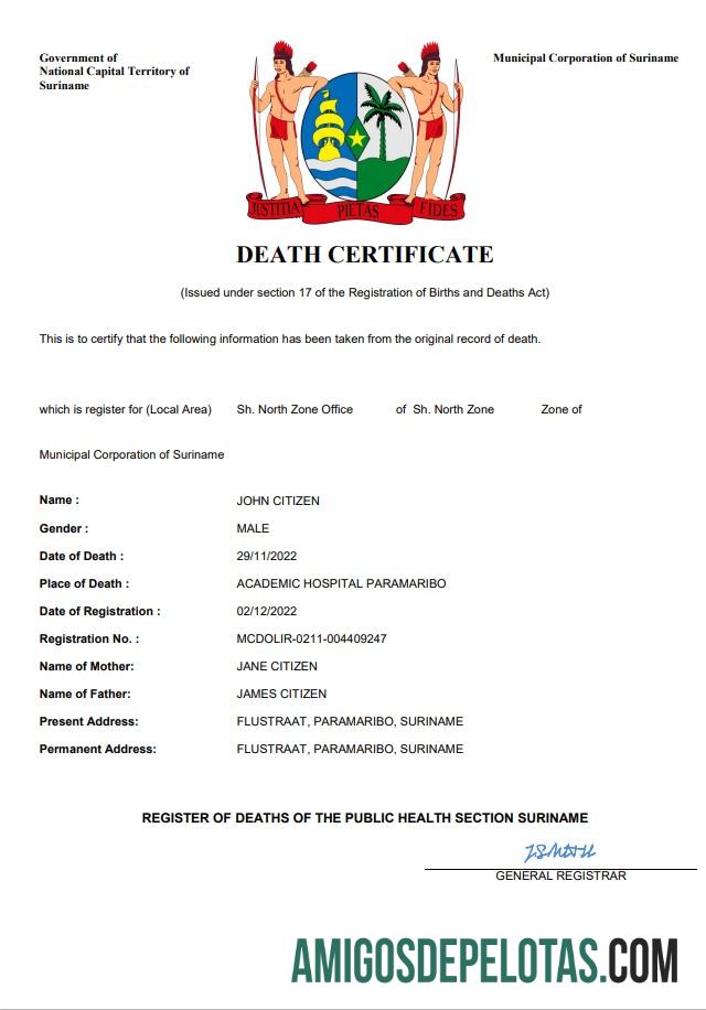 Profesional Suriname kematian sertifikat Word and PDF templat