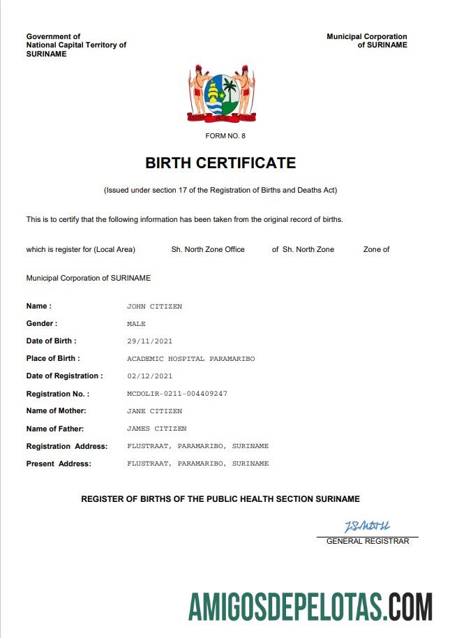 Realistis Suriname vital record kelahiran sertifikat Word and PDF templat