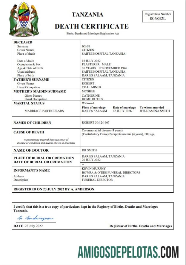 Profesional Tanzania vital record kematian sertifikat Word and PDF templat