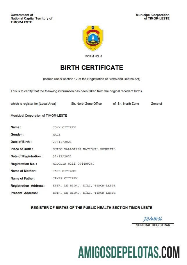 Profesional Timor Leste kelahiran sertifikat Word and PDF templat