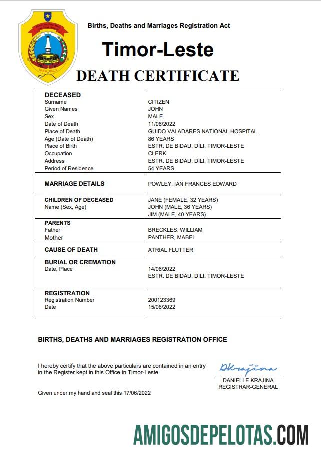 Dapat Diedit Timor Leste vital record kematian sertifikat Word and PDF templat