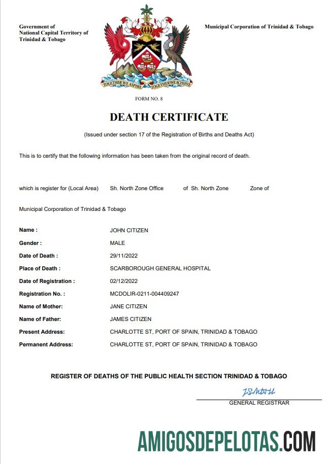 Realistis Trinidad dan Tobago kematian sertifikat Word and PDF templat