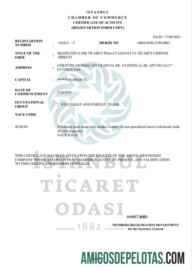Dapat Diedit Turki Istanbul sertifikat of Activity templat in Word and PDF format