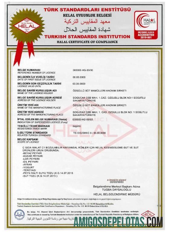 Turkish Standards Institution sertifikat 1 pratinjau