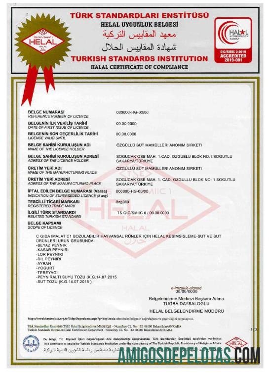 Turkish Standards Institution sertifikat sampel