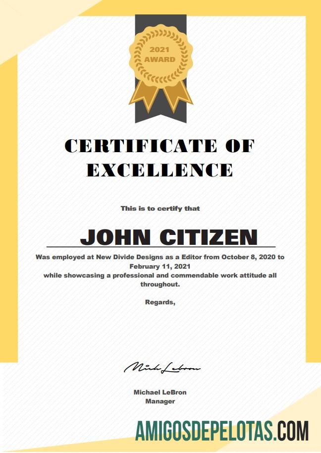 AS Excellence Cert makering