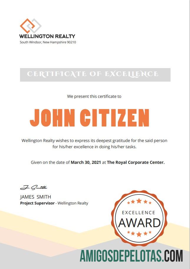 AS Excellence cert versi 2 pratinjau
