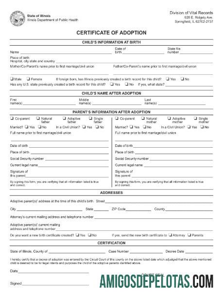 AS Illinois department of public kesehatan adoption sertifikat sampel