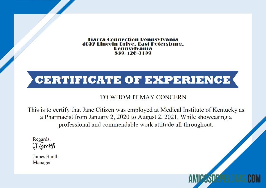 AS Job Experience cert versi 2 sampel