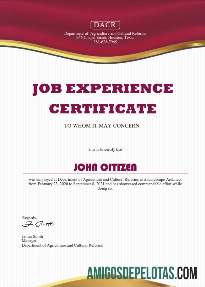 AS Job experience cert templat
