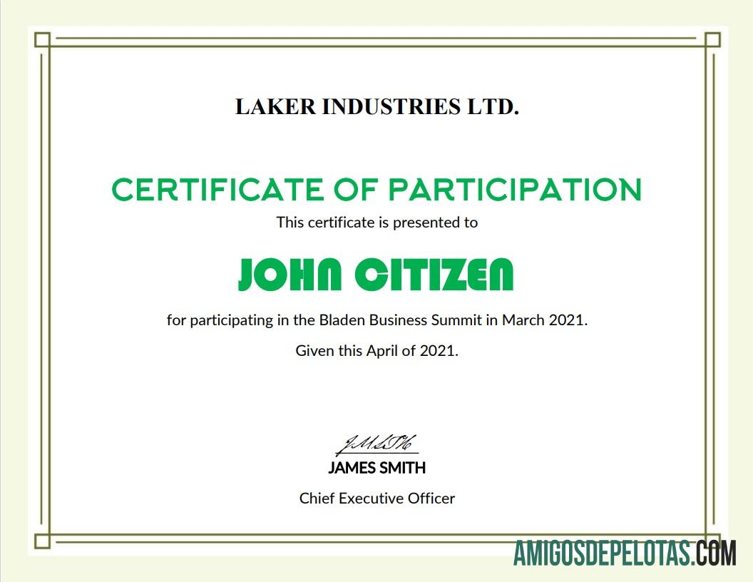 AS Modern Participation cert makering