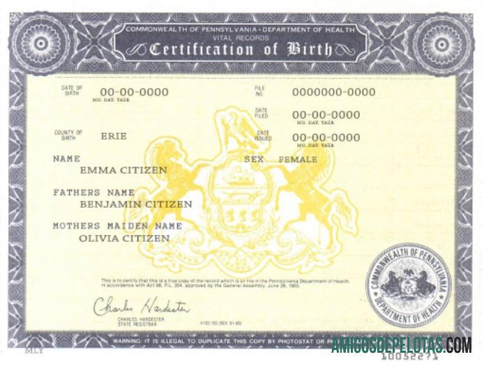 AS Pennsylvania kelahiran cert templat