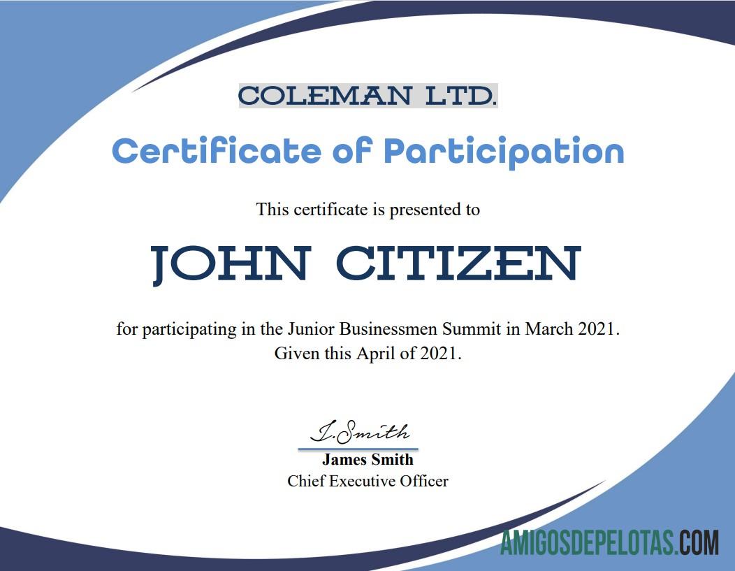 AS Program Participation cert sampel