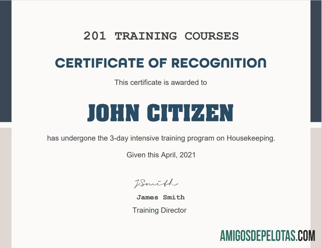 AS Training Course cert pratinjau