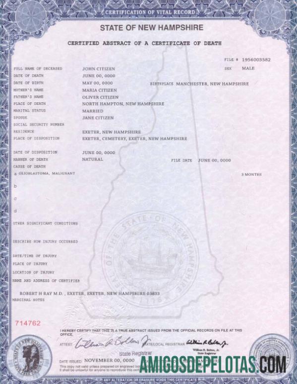 Profesional AS state Baru Hampshire kematian sertifikat templat in PSD format