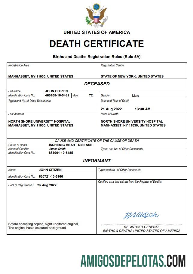 Profesional AS vital record kematian sertifikat Word and PDF templat