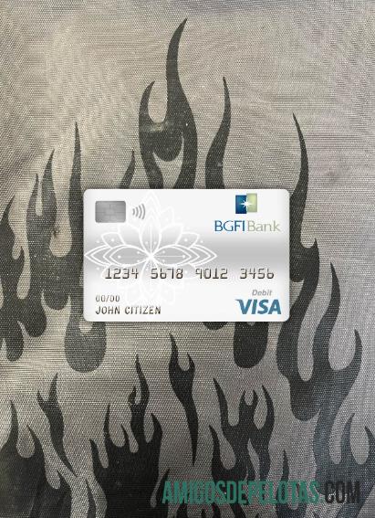 Kamerun BGFI bank visa Debit kartu tampilan foto depan pratinjau