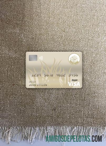 Republik Afrika Tengah bank of central african states (beac) bank visa Debit kartu tampilan foto depan templat
