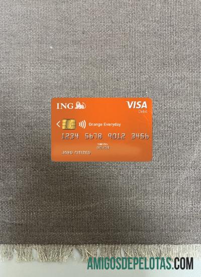 Belanda ING Orange visa tampilan foto depan sampel