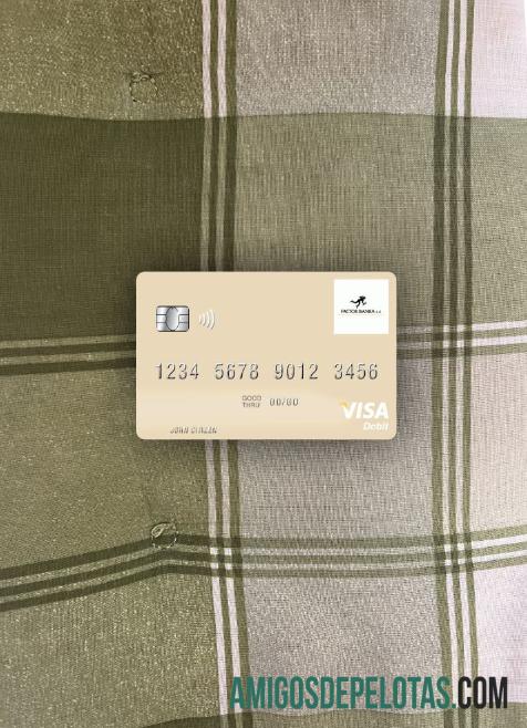 Slovenia Factor banka visa Debit kartu tampilan foto depan desain