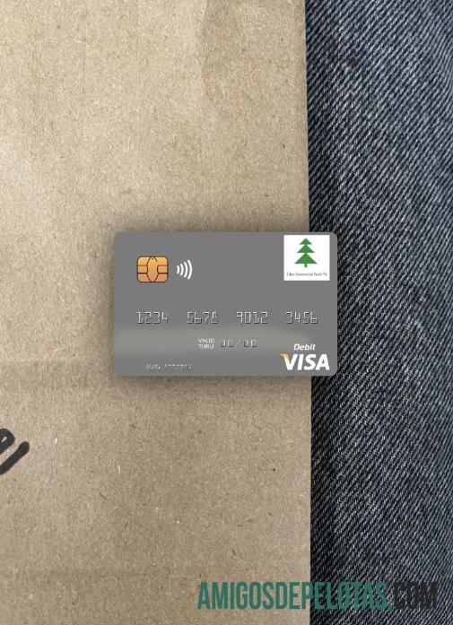 Sudan Selatan Eden komersial bank visa Debit kartu tampilan foto depan pratinjau