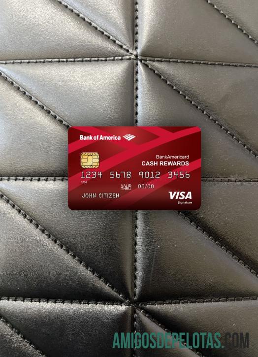 AS bank of Amerika visa Tanda Tangan kartu tampilan foto depan sampel