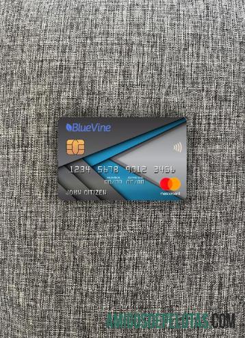 AS California BlueVine bank mastercard tampilan foto depan sampel