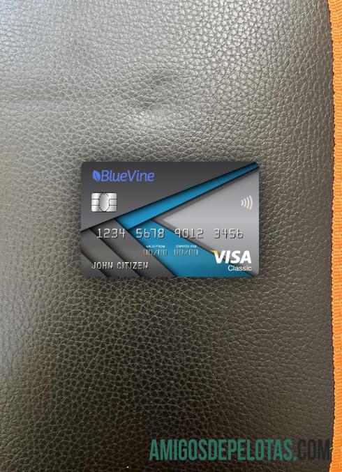 AS California BlueVine bank visa classic kartu tampilan foto depan templat