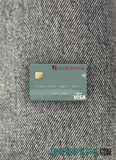 Vietnam Agribank visa Debit kartu tampilan foto depan sampel