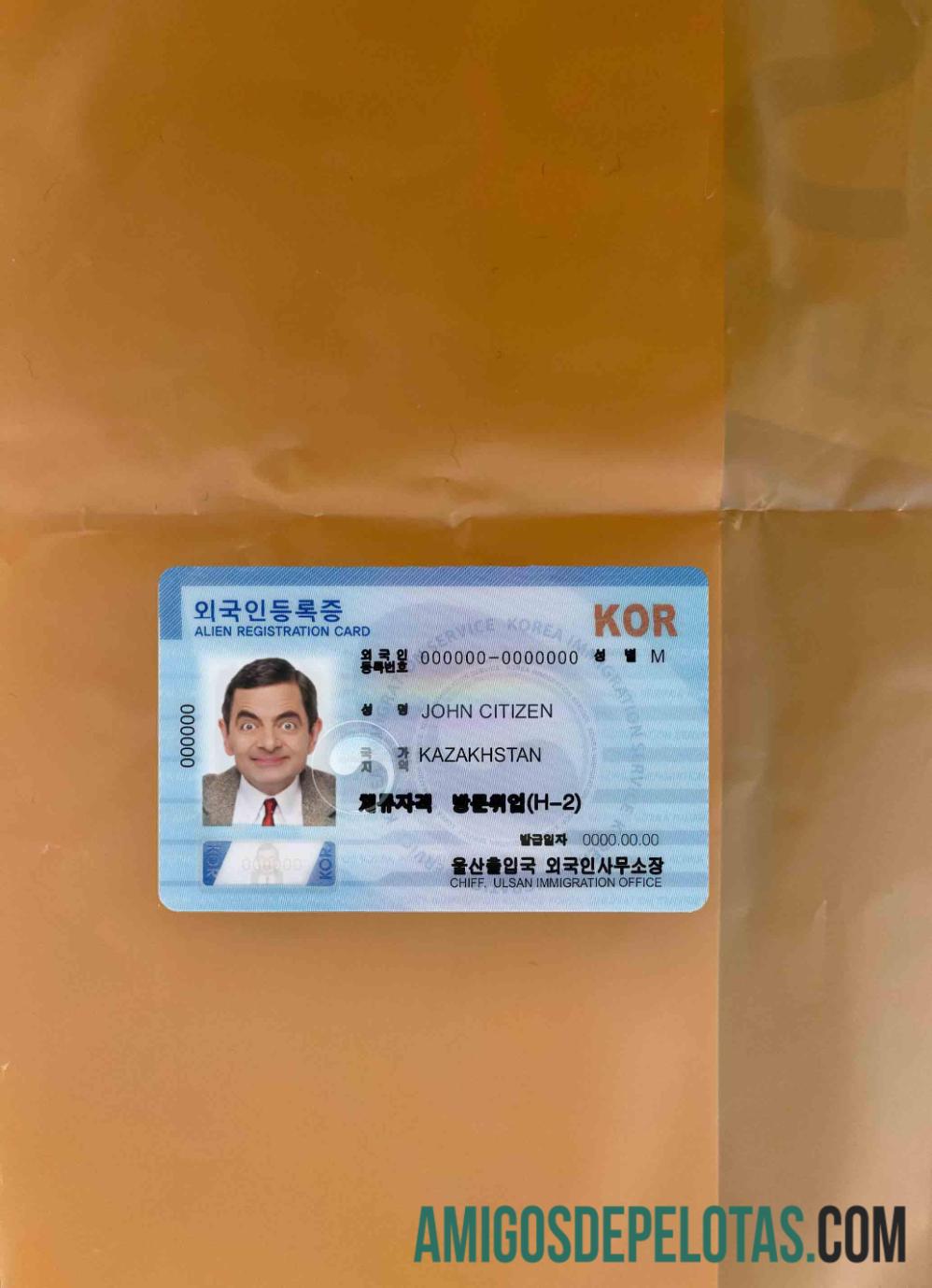 Berkualitas South Korean asing pendaftaran kartu (ARC) templat tampilan foto depan