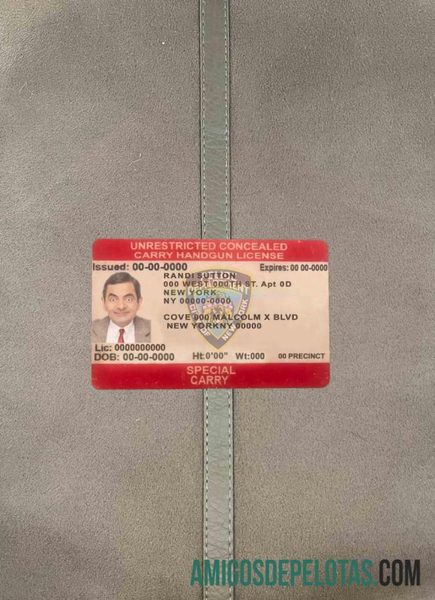 AS Baru York tanpa batas tersembunyi membawa lisensi tampilan foto depan desain