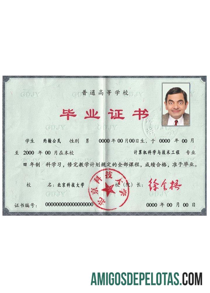 Chinese Diploma makering