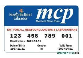 Newfoundland and Labrador medis plan kartu makering
