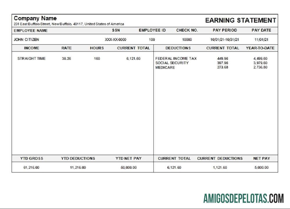 AS Michigan pay stub sampel