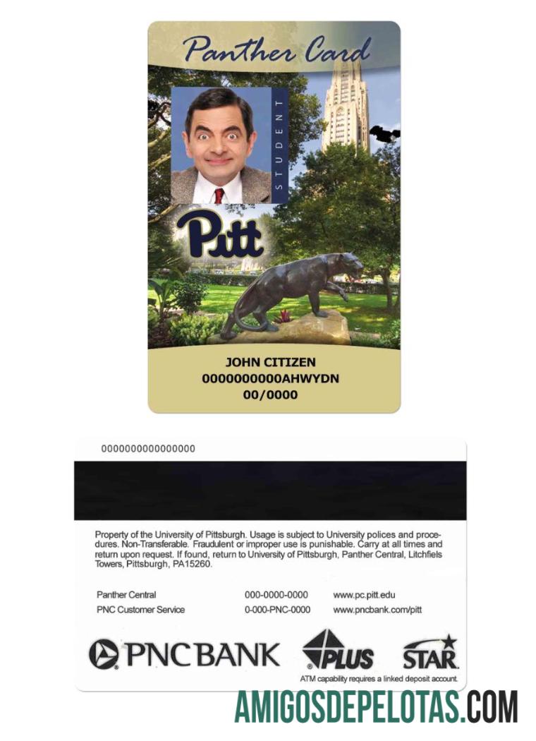 AS The universitas of Pittsburgh mahasiswa Kartu Identitas, Panther kartu pratinjau