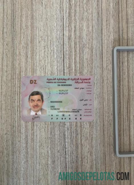 Aljazair Surat Izin Mengemudi tampilan foto depan sampel