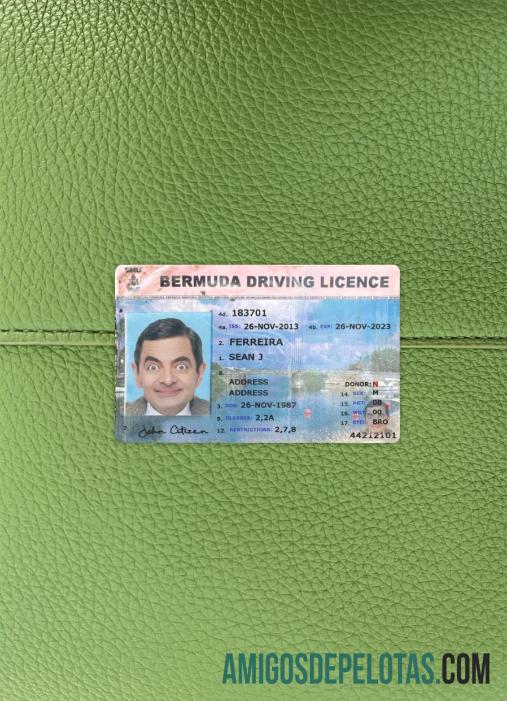 Bermuda Surat Izin Mengemudi tampilan foto depan makering