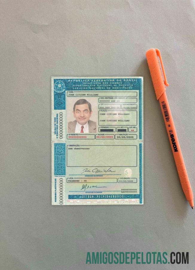 Brasil DL (Detran Pe[Pernambuco) tampilan foto templat